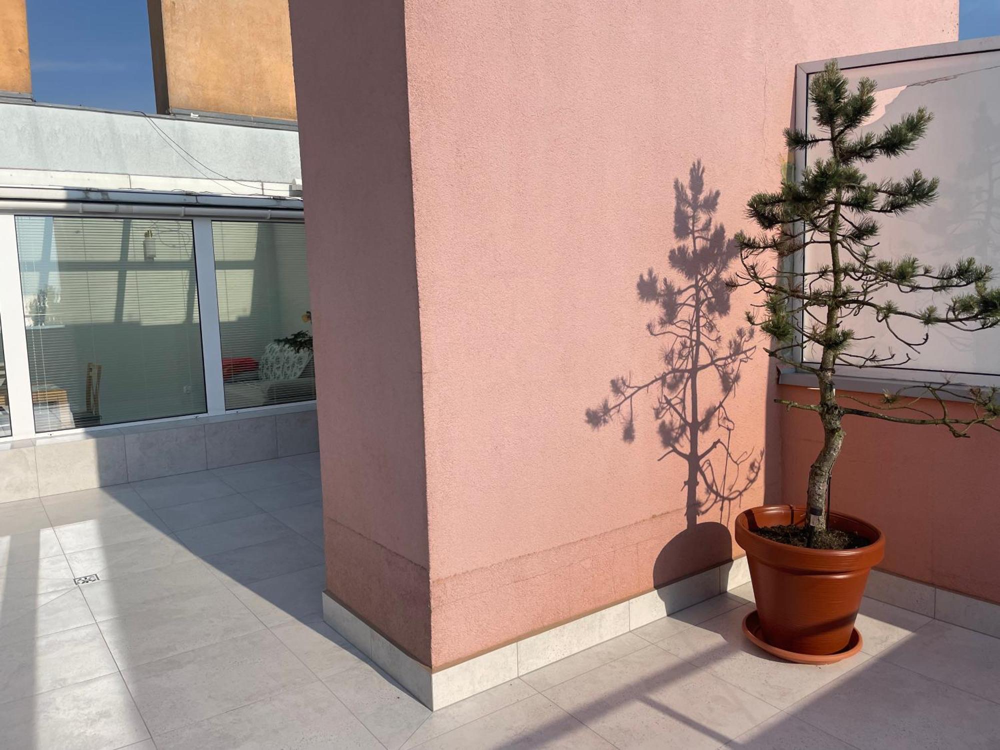 Wolin-Travel Fala Apartamenty Z Widokiem Na Morze Мендзыздрое Экстерьер фото